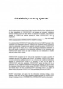Limited Liability Partnership (LLP) Agreement