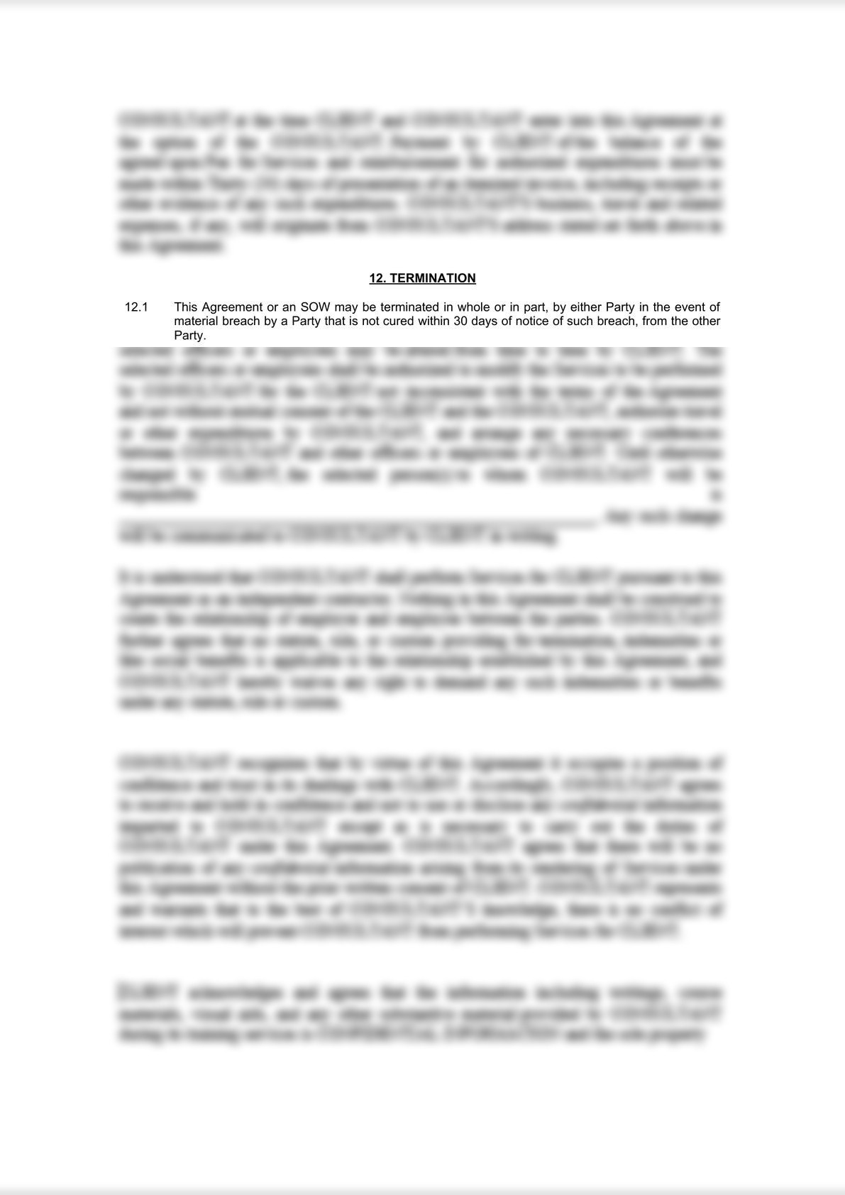 Consultancy Agreement for IT Services-7