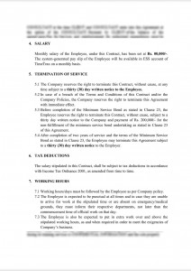Employment Agreement