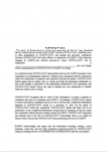Partnership agreement sample.  For other related legal documents feel free to ask