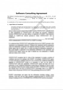 Software Consulting Agreement (Pro-Customer)