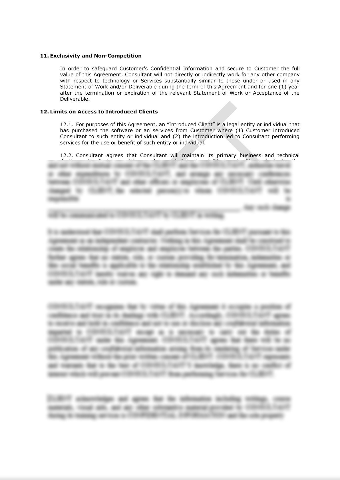 Software Consulting Agreement (Pro-Customer)-5