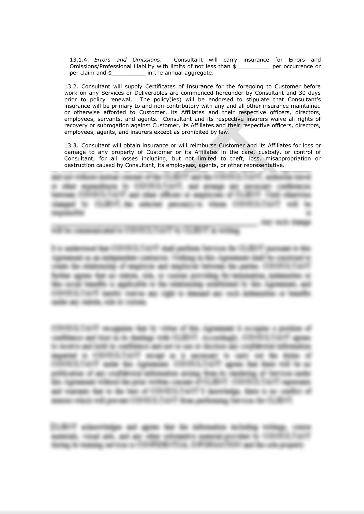 Software Consulting Agreement (Pro-Customer)-6