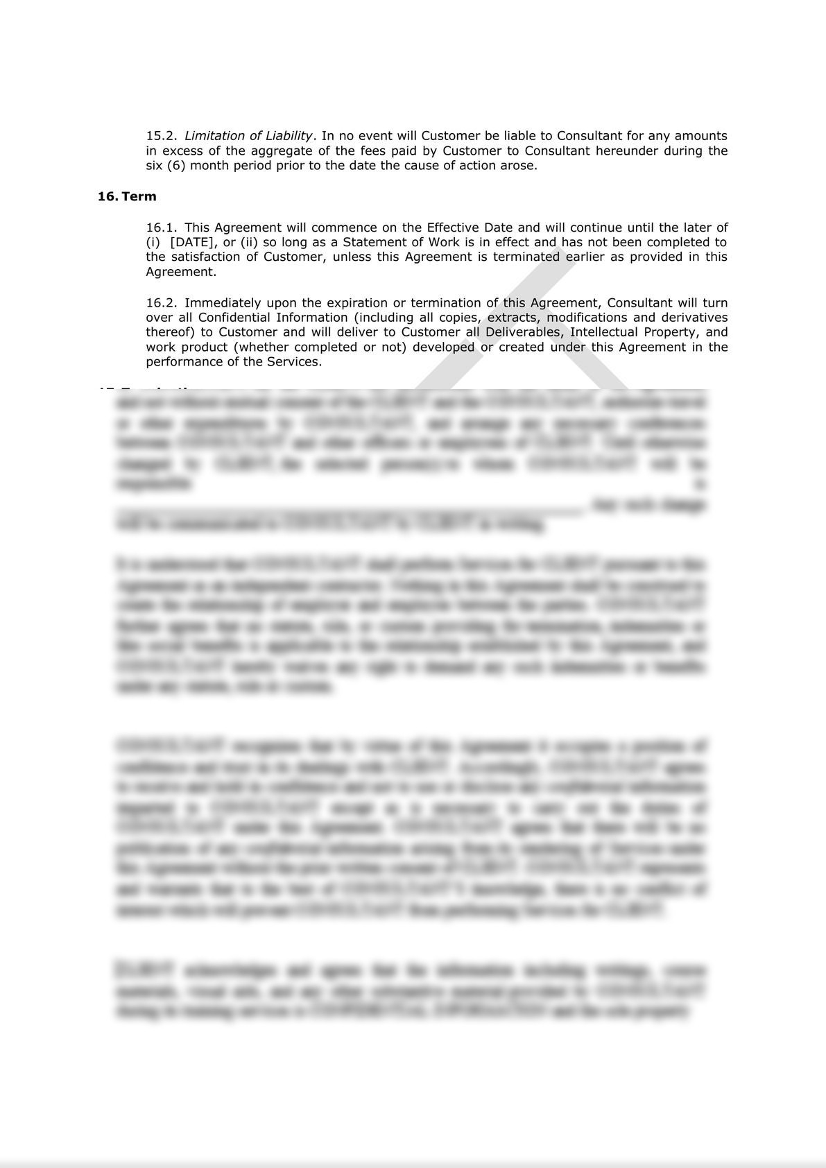 Software Consulting Agreement (Pro-Customer)-7