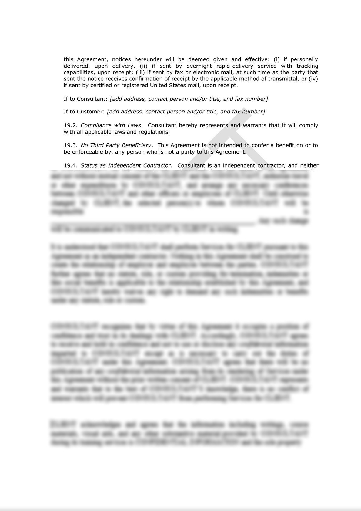 Software Consulting Agreement (Pro-Customer)-8