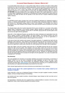Co-owned Patent Disputes in Vietnam: What to Do?