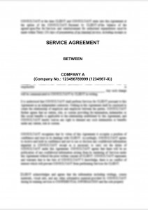 Service Agreement - Consultant 
