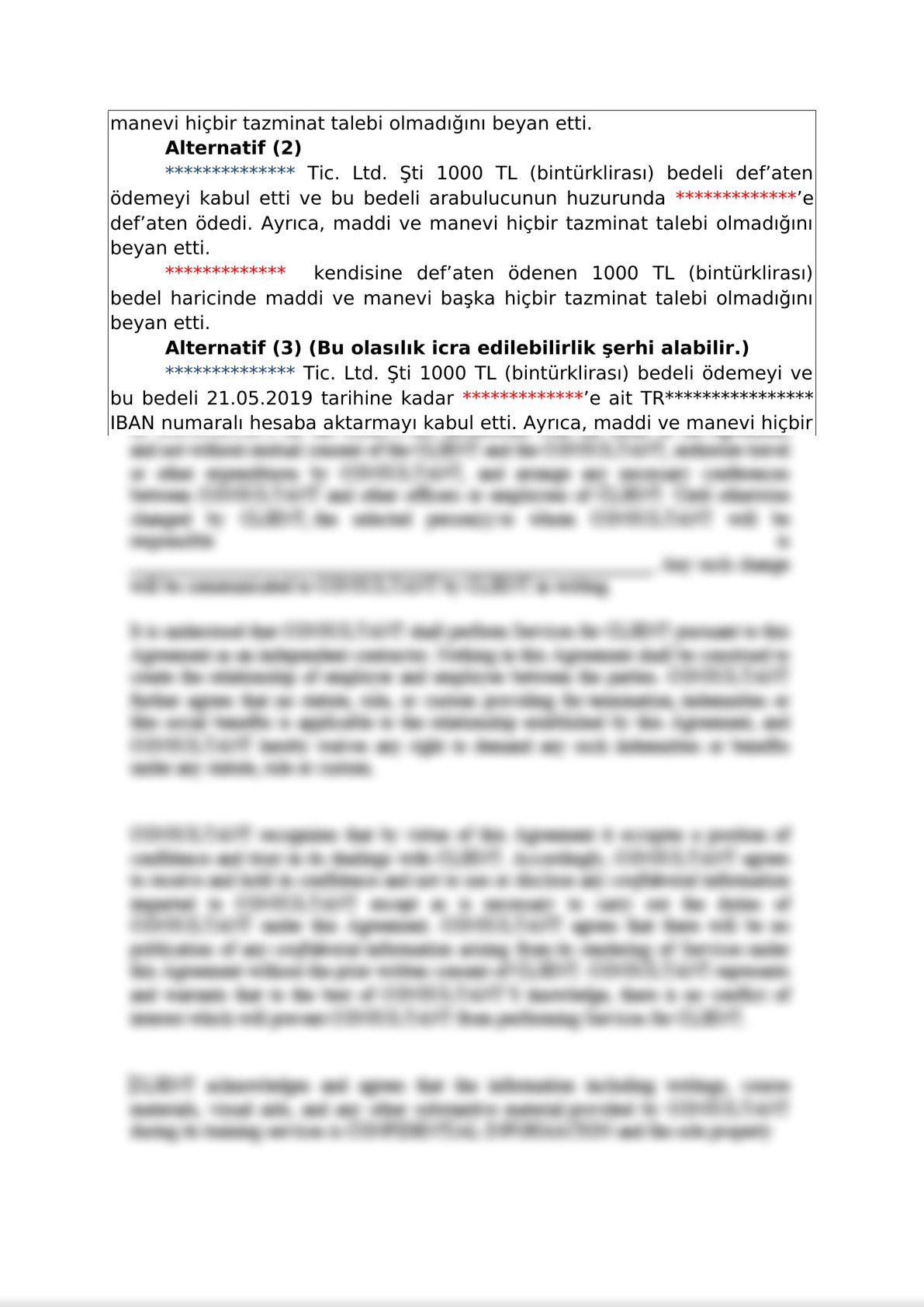 Mediation Settlement Agreement  on Commercial Disputes - Turkish-1